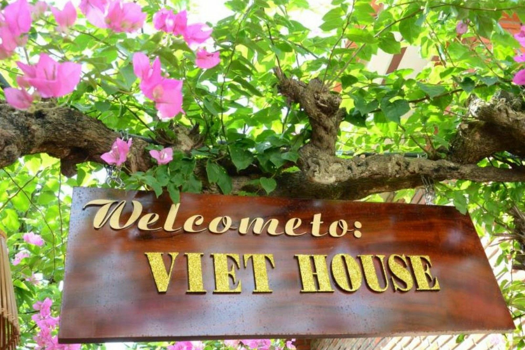 313 Cua Dai - Viet House Homestay Hoi An Eksteriør bilde